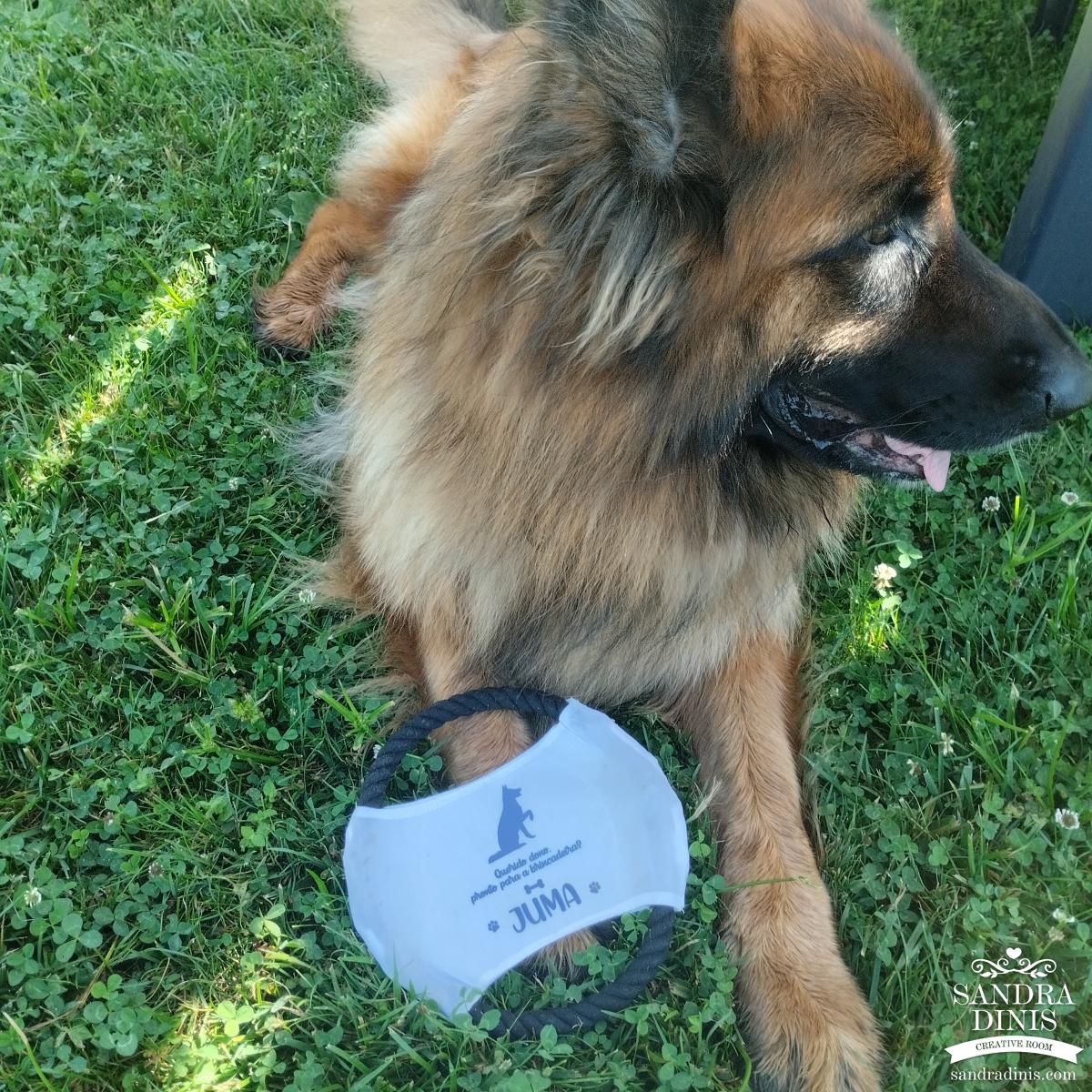 Frisbee - Brinquedo disco para cão 