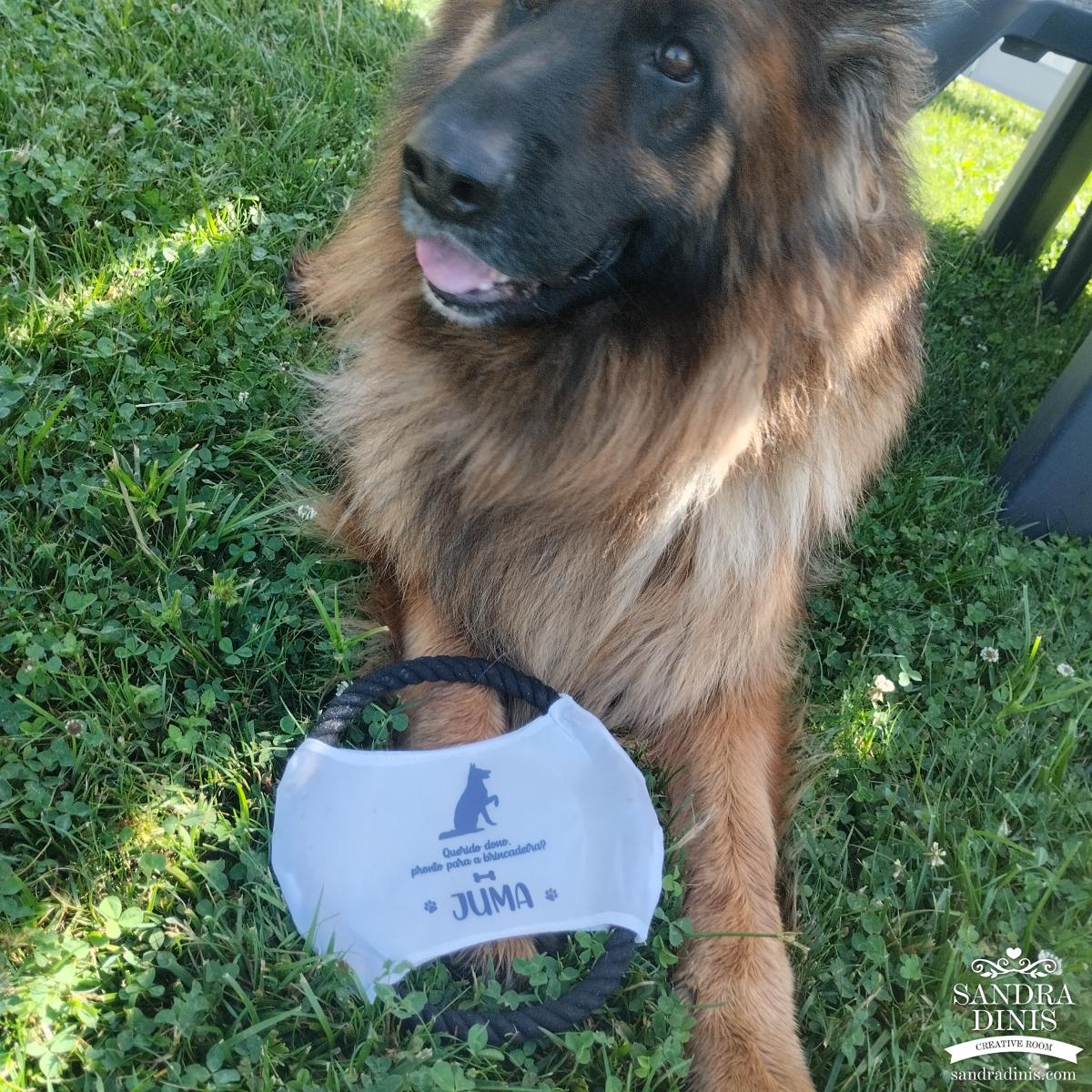 Frisbee - Brinquedo disco para cão 