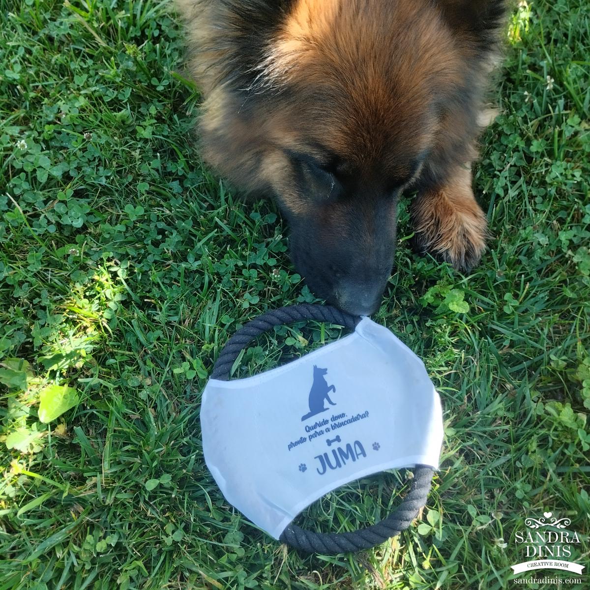Frisbee - Brinquedo disco para cão 