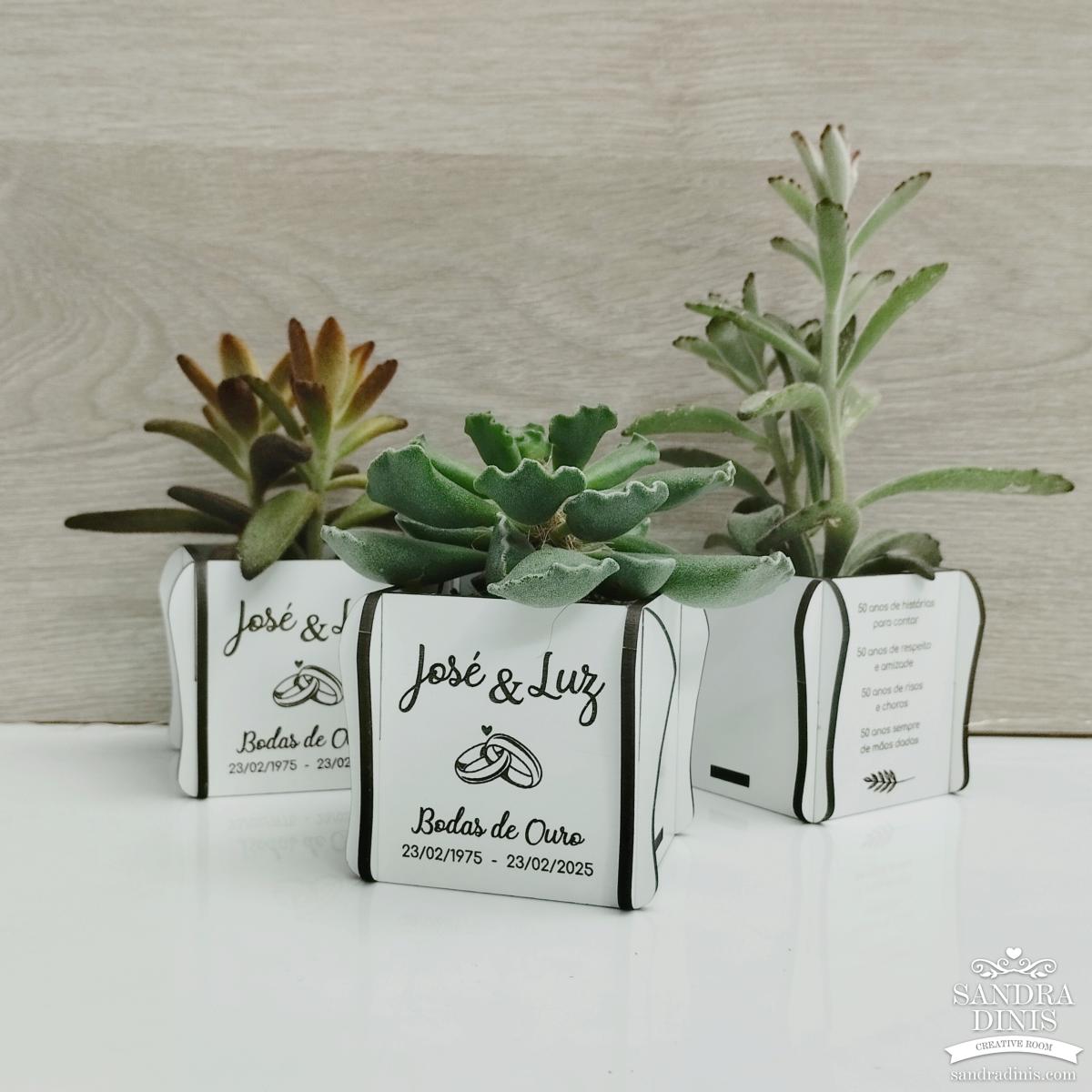 Vaso para suculentas - sem planta