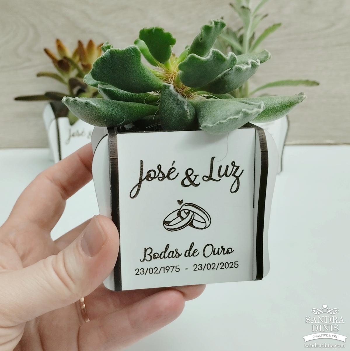Vaso para suculentas - sem planta