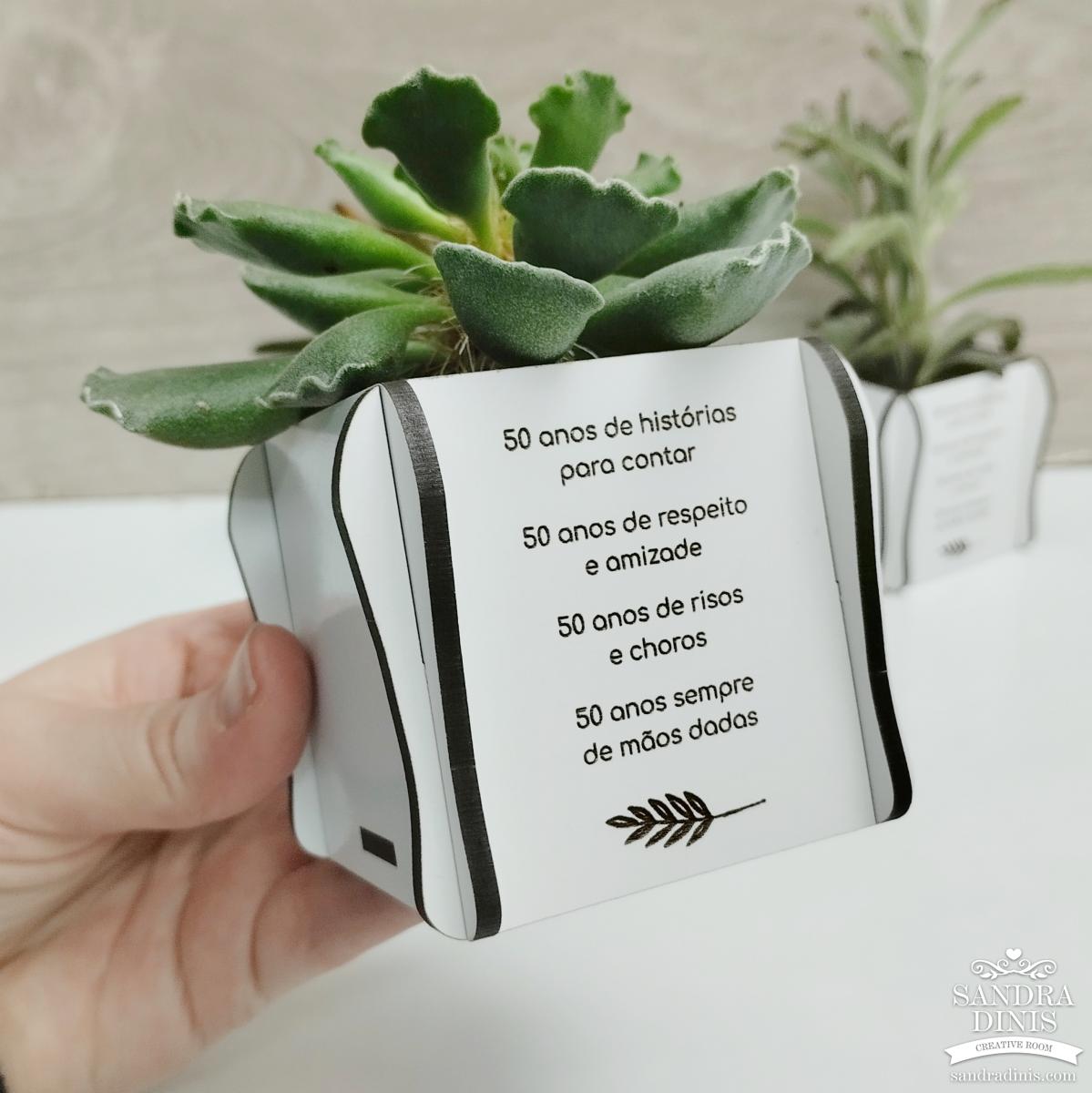 Vaso para suculentas - sem planta