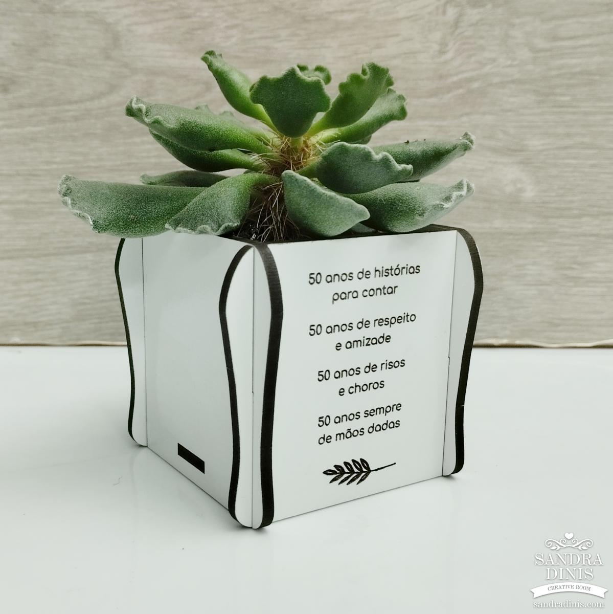 Vaso para suculentas - sem planta